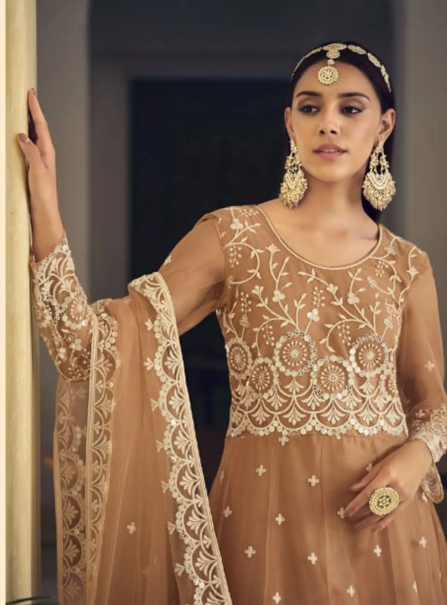 Beautiful brown butterfly net embroidered anarkali - rent