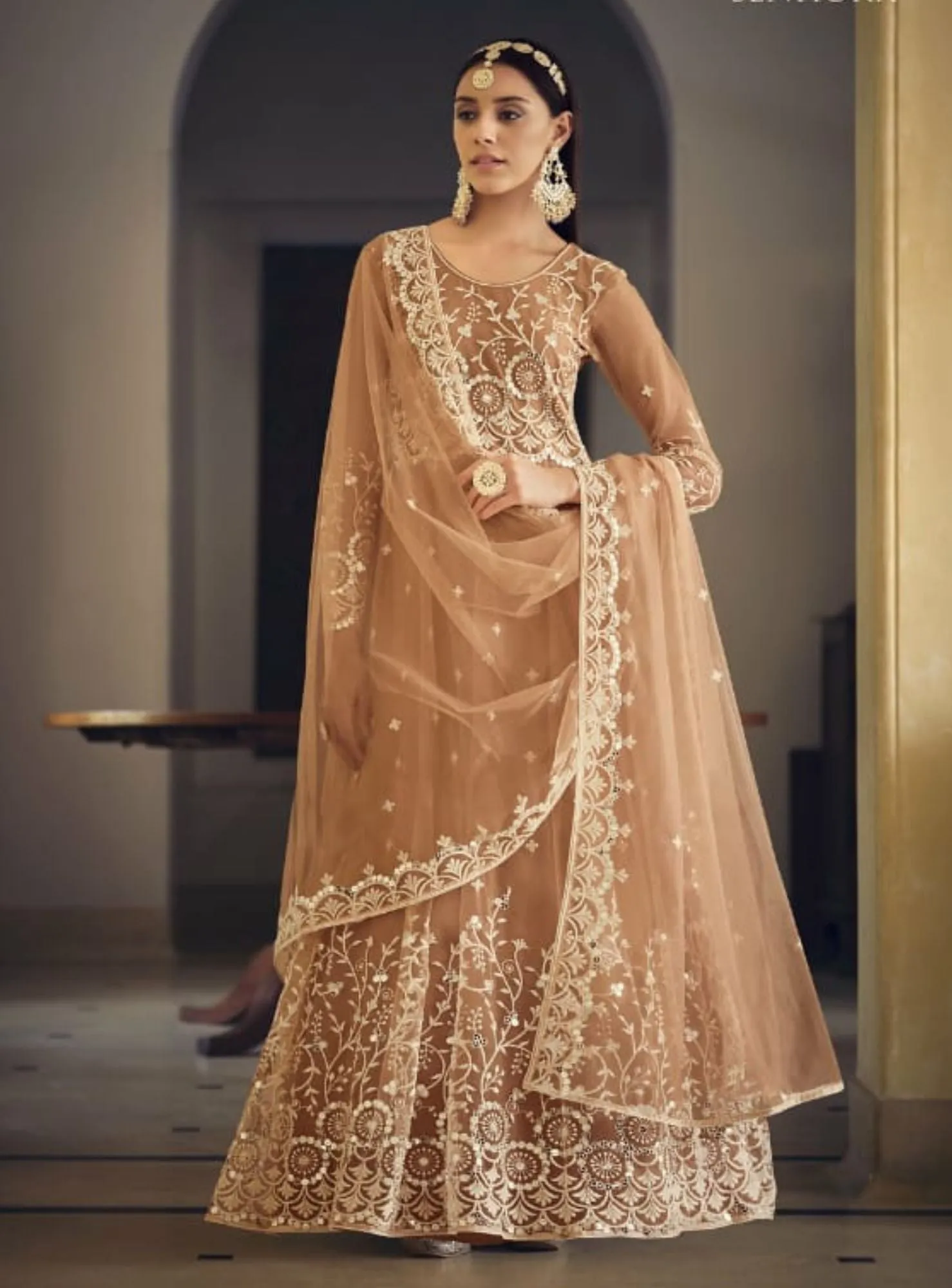 Beautiful brown butterfly net embroidered anarkali - rent