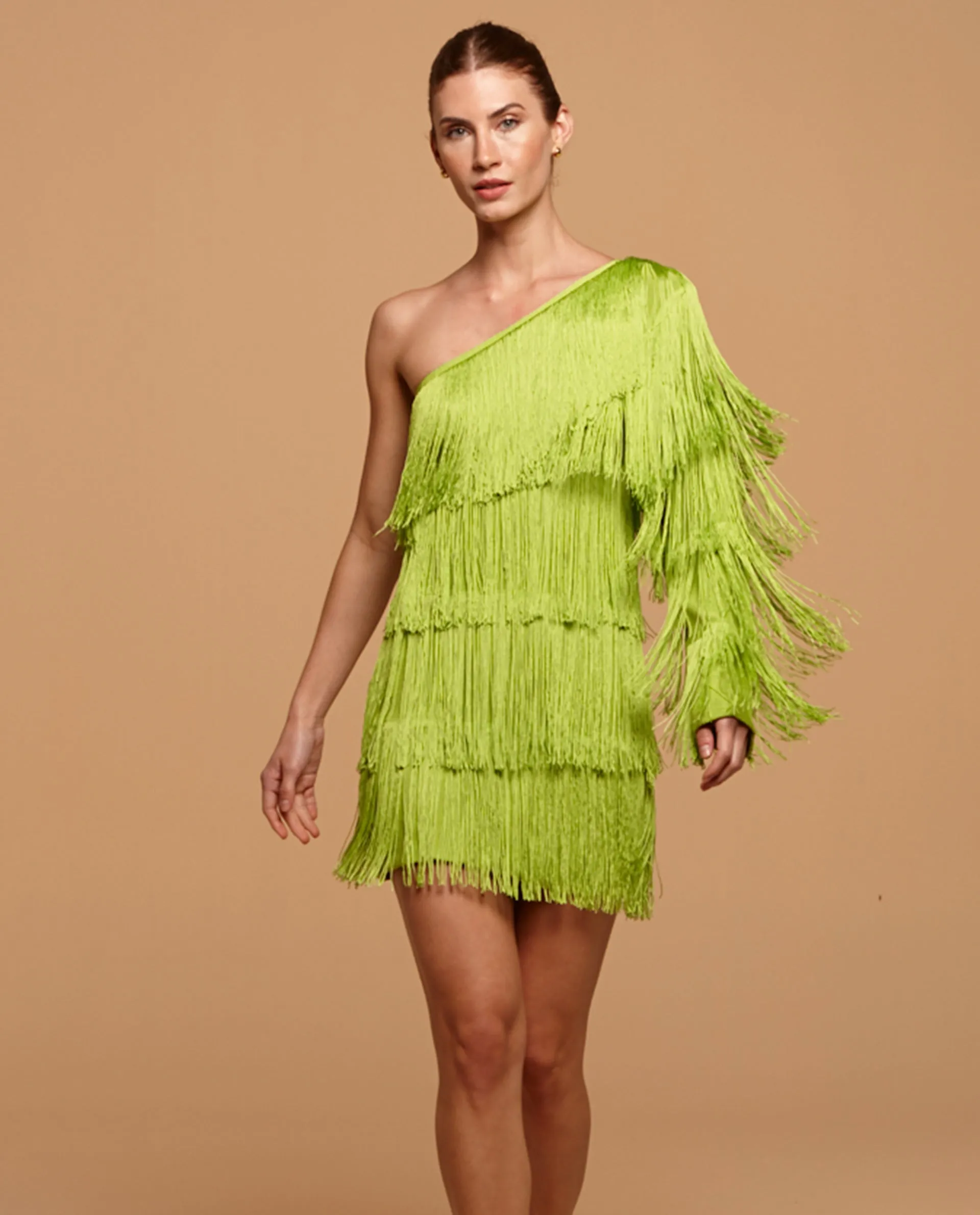 Fleurs Fringes One Shoulder Mini Dress